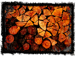 Picture of logs